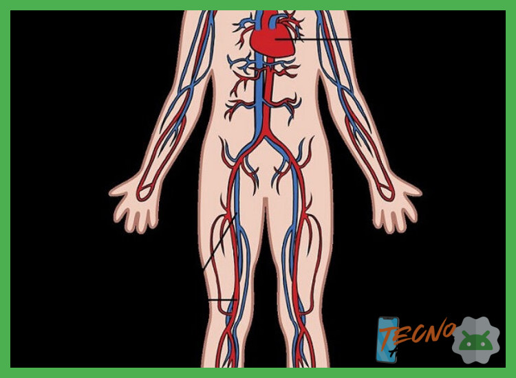 2. Sistemas Corporales y Entorno Dinámico: Más Allá de la Barra de Salud