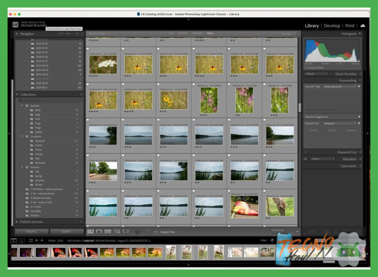 5. Flujo de Trabajo Optimizado para Proyectos 4K
