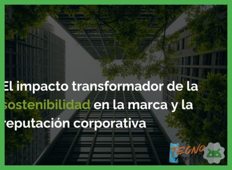 5. Programas de sostenibilidad y soporte a largo plazo